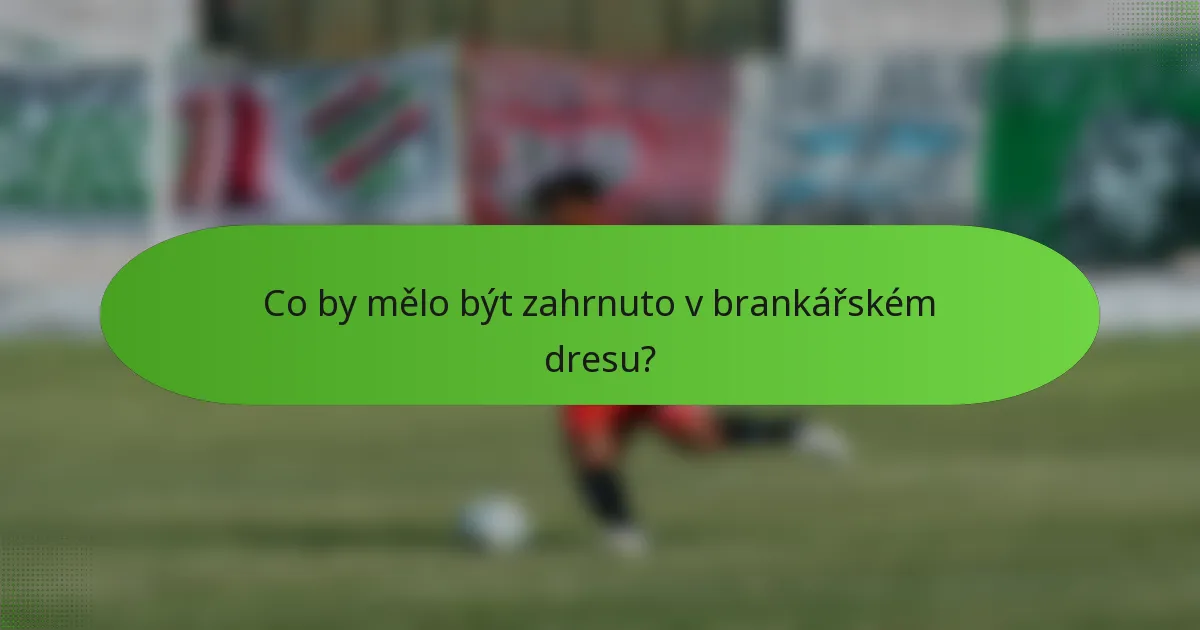 Co by mělo být zahrnuto v brankářském dresu?