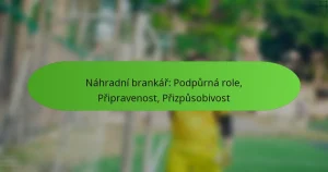 featured-image-nahradni-brankar-podpurna-role-pripravenost-prizpusobivost