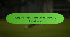 featured-image-sweeper-keeper-kontrola-mice-prihravky-rozhodovani