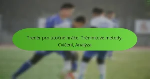 featured-image-trener-pro-utocne-hrace-treninkove-metody-cviceni-analyza
