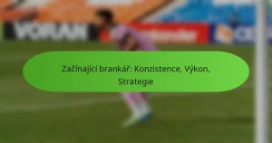 Začínající brankář: Konzistence, Výkon, Strategie
