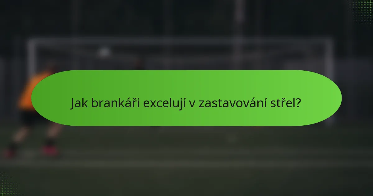 Jak brankáři excelují v zastavování střel?
