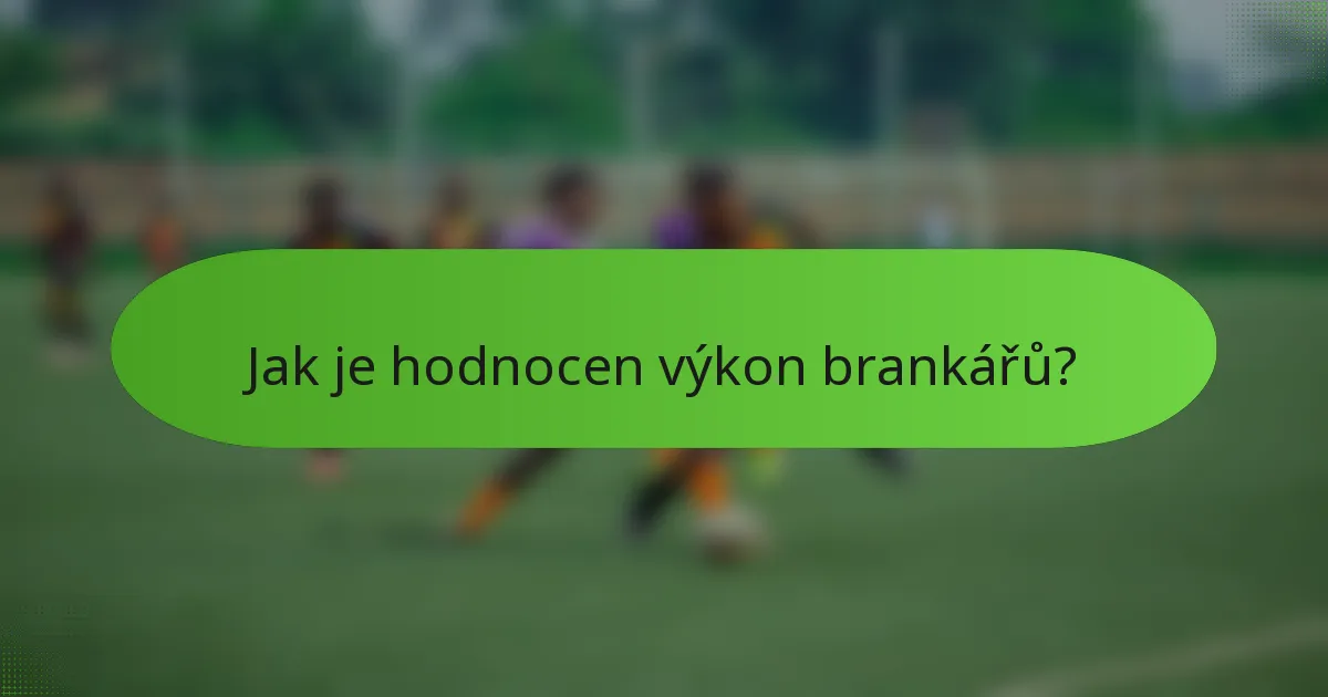 Jak je hodnocen výkon brankářů?