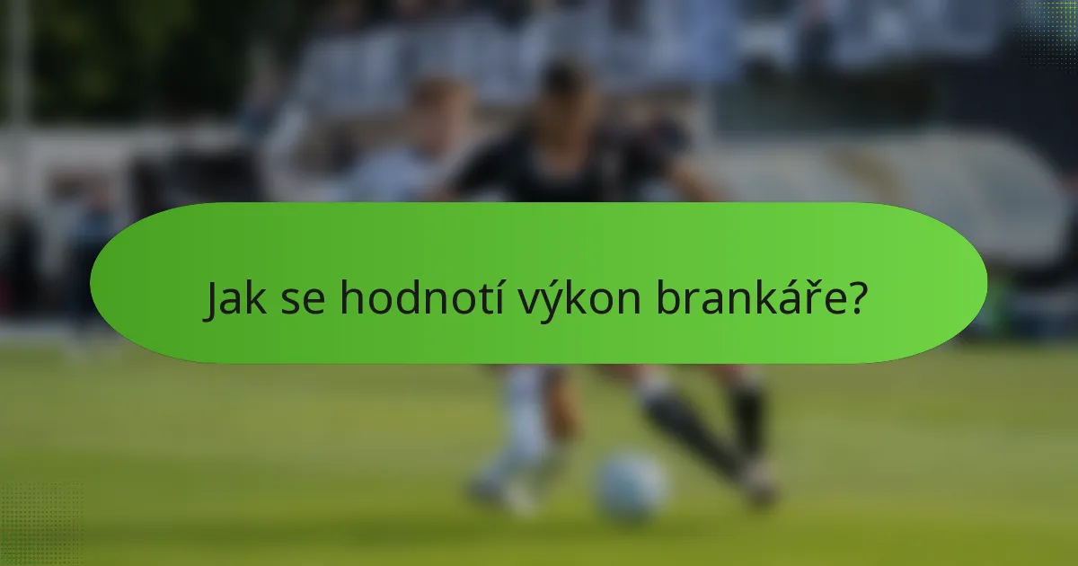 Jak se hodnotí výkon brankáře?