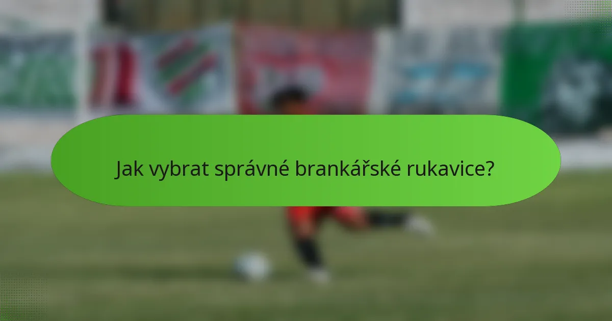 Jak vybrat správné brankářské rukavice?