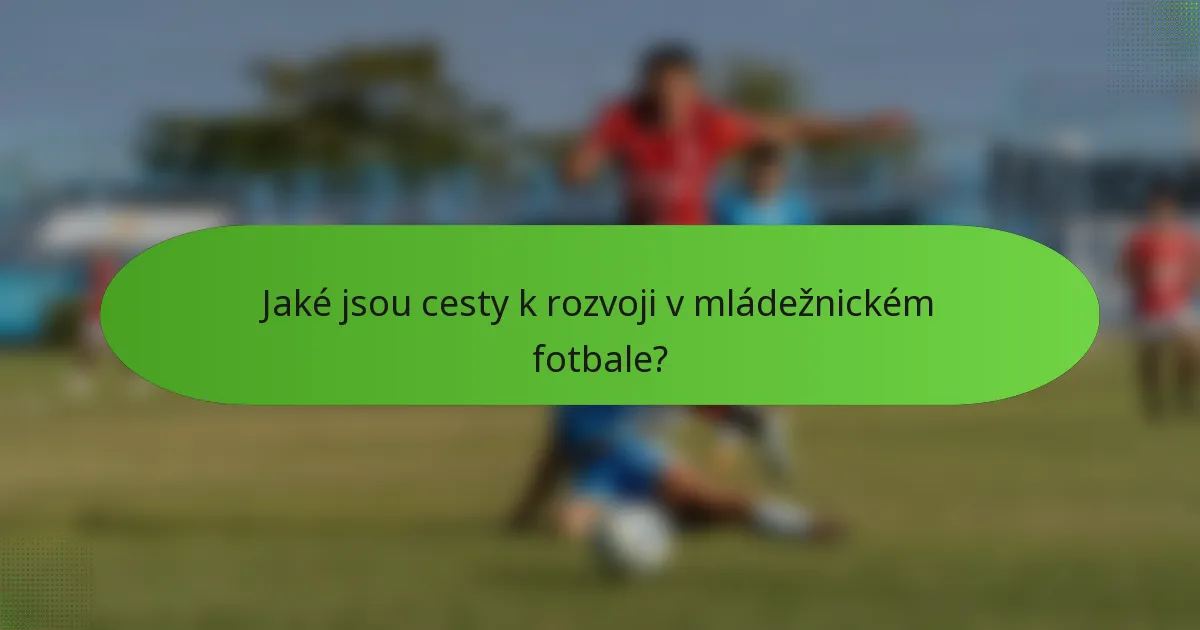 Jaké jsou cesty k rozvoji v mládežnickém fotbale?