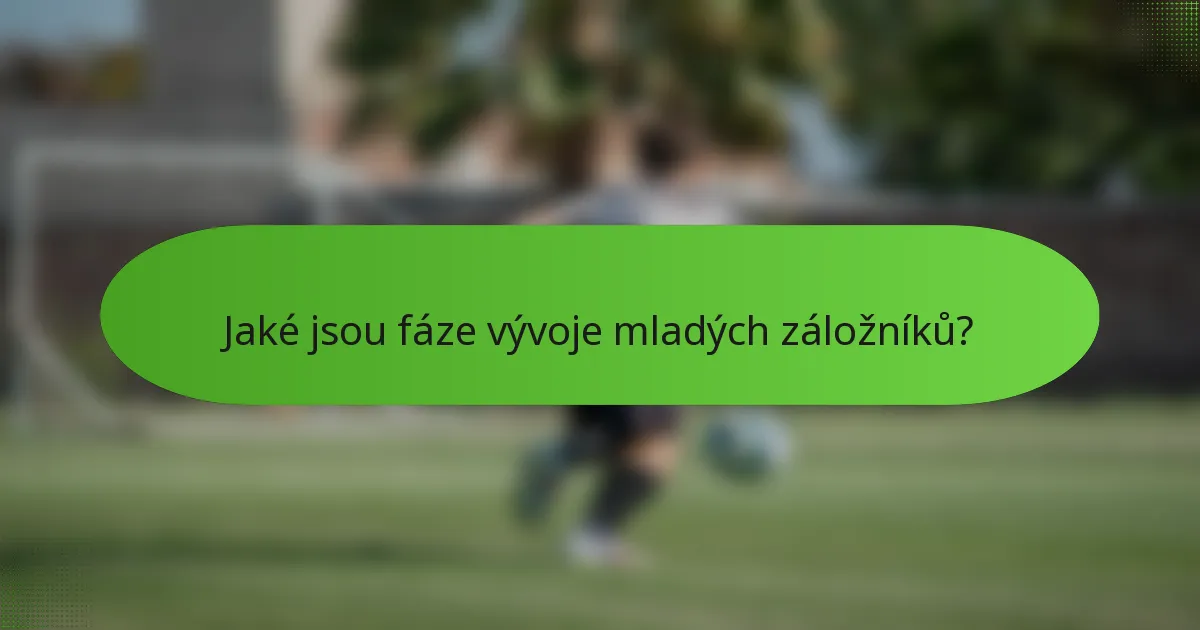 Jaké jsou fáze vývoje mladých záložníků?