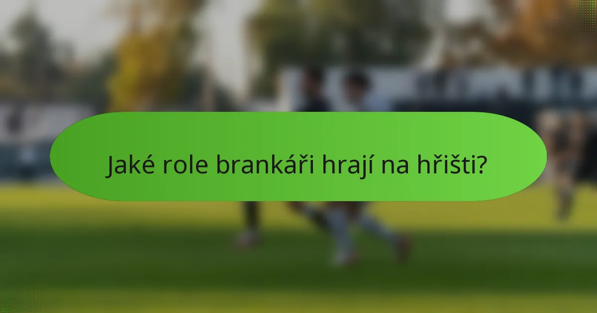 Jaké role brankáři hrají na hřišti?