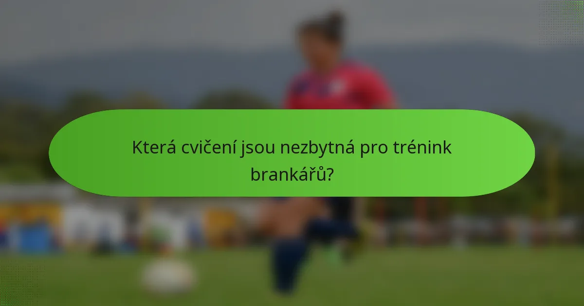 Která cvičení jsou nezbytná pro trénink brankářů?